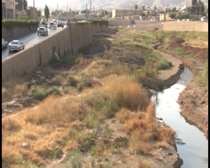 آرتِمیا در کما