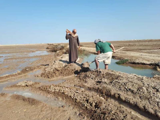 ۴۰ سال امیدِ آبادی