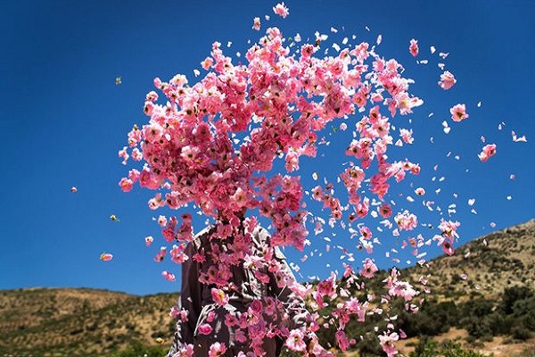کویرهای صورتی ... کویرهای صورتی ...