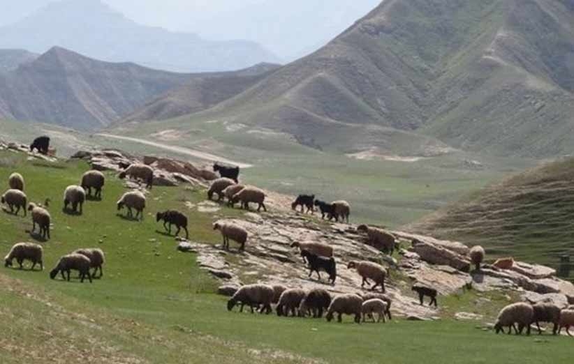 آغاز کوچ دامداران گیلانی