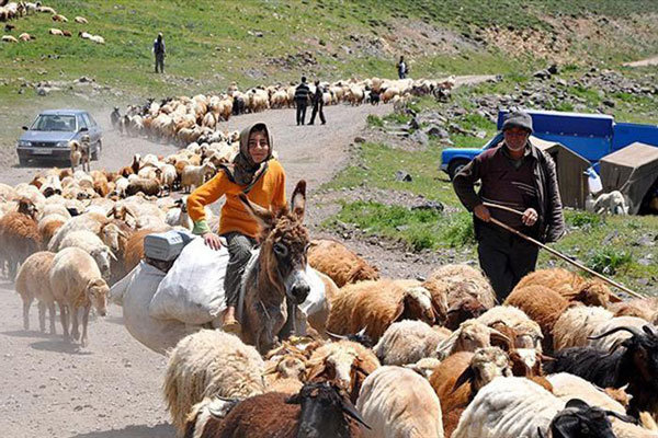 مجال مال کنون مجال مال کنون