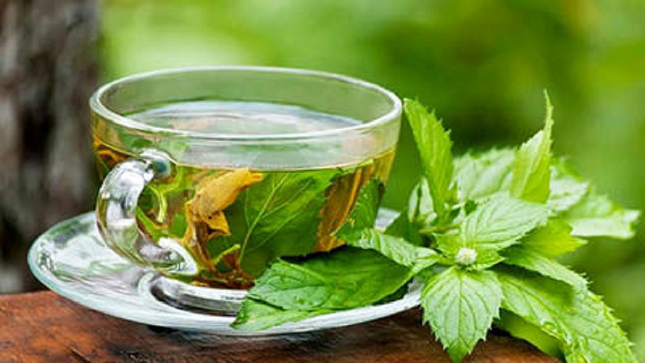 خواص ضد اسپاسم گیاه پونه خواص ضد اسپاسم گیاه پونه