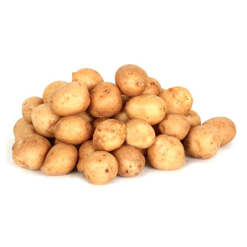 انواع سیب زمینی انواع سیب زمینی