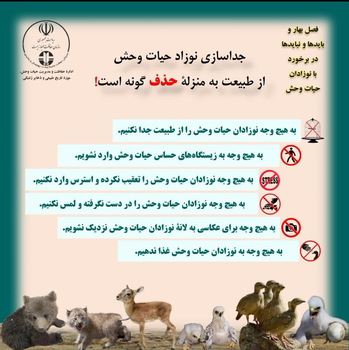 خودداری از جابه‌جایی یا انتقال نوزادان جانوری در طبیعت چهارمحال و بختیاری