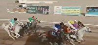 سوارکار هرمزگانی قهرمان کشور شد
