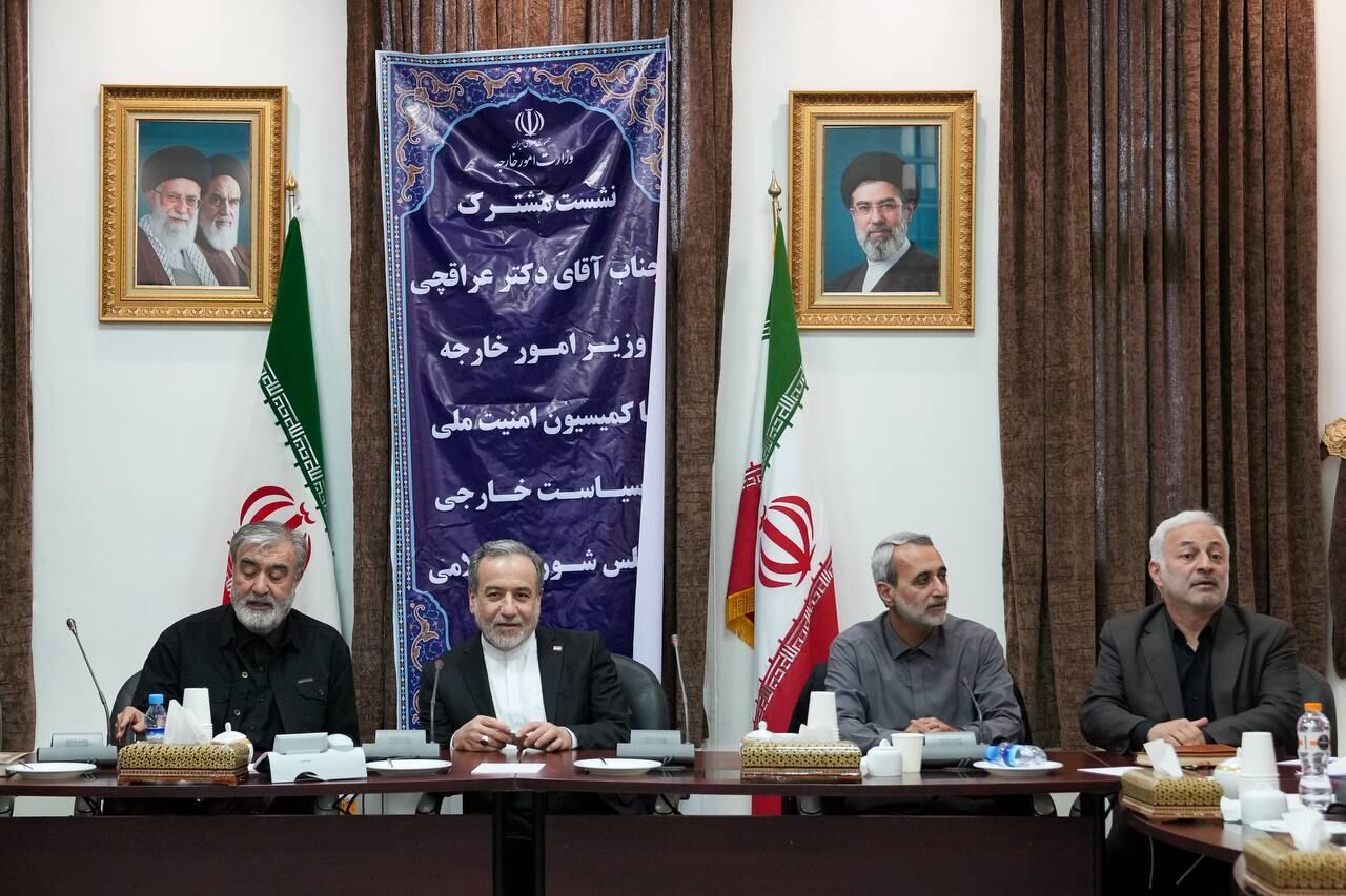 دیدار اعضای کمیسیون امنیت ملی و سیاست خارجی مجلس با عراقچی دیدار اعضای کمیسیون امنیت ملی و سیاست خارجی مجلس با عراقچی