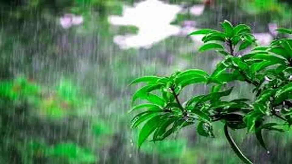 ***پیش بینی رگبار در شمال و وزش باد در شرق