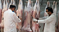 آماده‌باش ۹۸ گروه نظارتی دامپزشکی خوزستان در تاسوعا و عاشورا