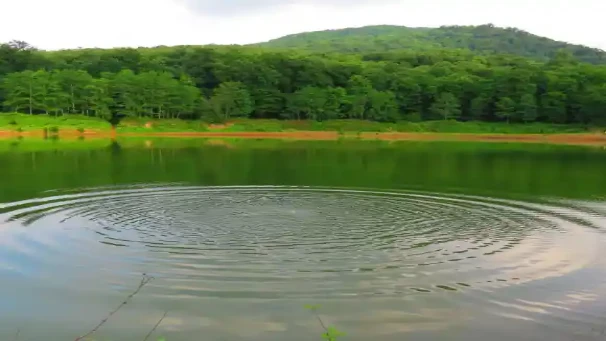 احیای آب بندان های پرورش ماهی در گمیشان گلستان با بارشهای بهاری احیای آب بندان های پرورش ماهی در گمیشان گلستان با بارشهای بهاری